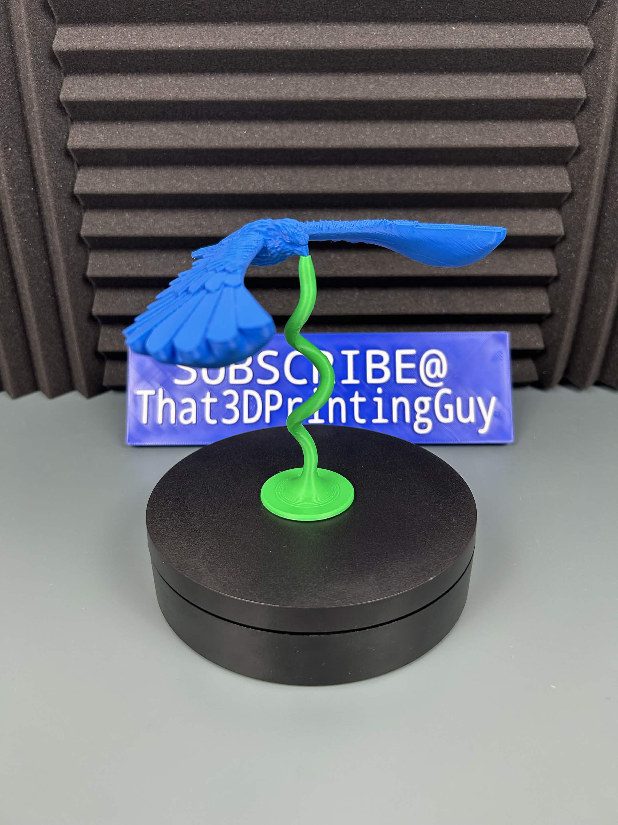 Balancing Bird